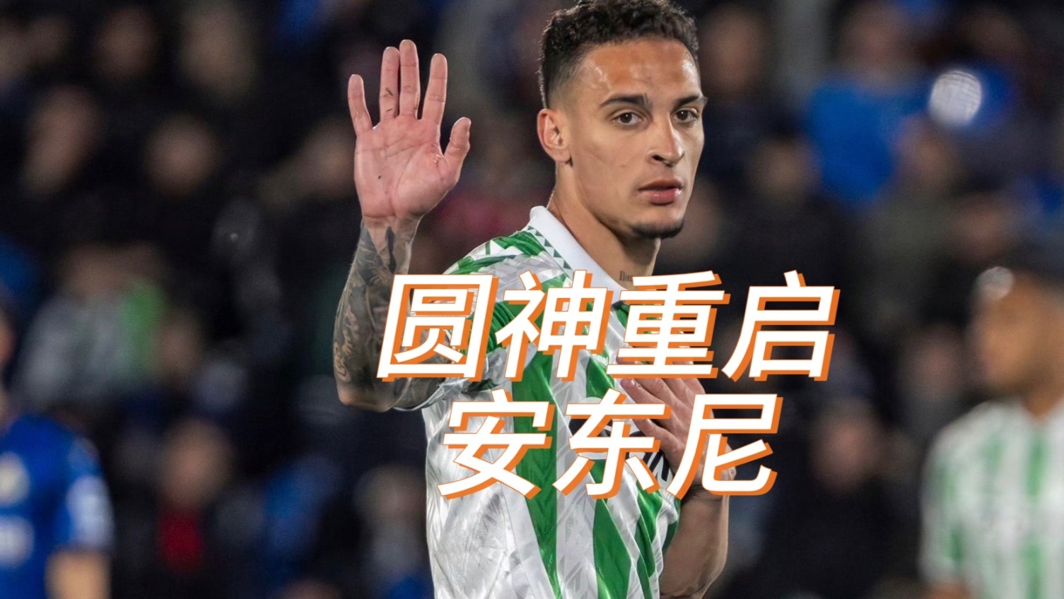 舒梅切尔转会尼斯 舒梅切尔转会尼斯